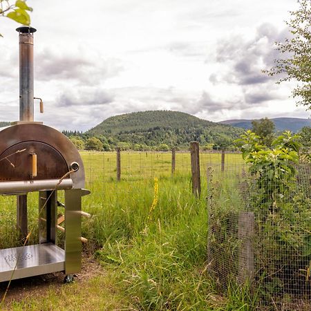 Alba - Charming Boutique Forest View Cabin With Hot Tub In Ballater Ngoại thất bức ảnh
