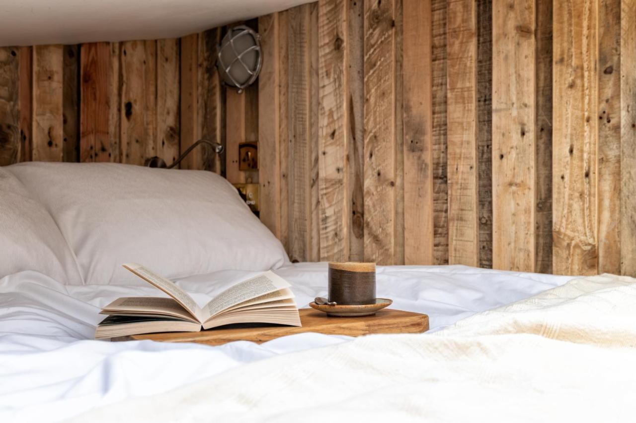 Alba - Charming Boutique Forest View Cabin With Hot Tub In Ballater Ngoại thất bức ảnh